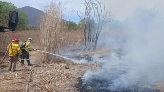 Importante operativo para controlar un incendio de pastizales en La Isla