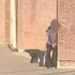 EL COMUNICADO DEL MINISTERIO DE SEGURIDAD TRAS LA ADOLESCENTE QUE SE ATRINCHERÓ EN UNA INSTITUCIÓN EDUCATIVA CON UN ARMA DE FUEGO