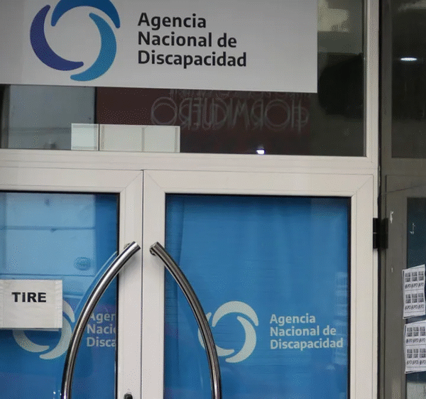 Investigan más de 600 contratos entre ANDIS y Suizo Argentina