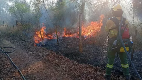 Alerta por riesgo extremo de incendios en Salta