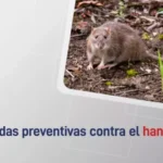 El Gobierno recuerda medidas preventivas para la hantavirosis