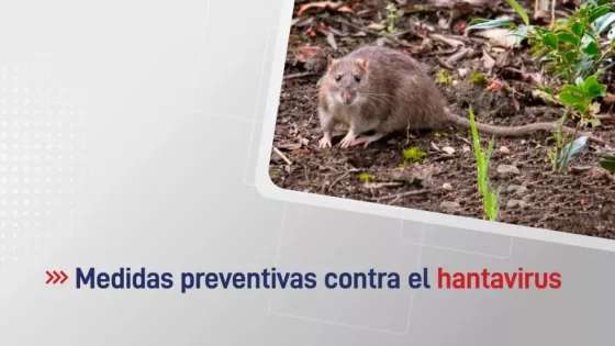 El Gobierno recuerda medidas preventivas para la hantavirosis