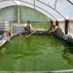 Salta adherirá a la ley nacional de promoción de la acuicultura