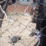 Urgente: Una niña perdió la vida en B° Palermo I