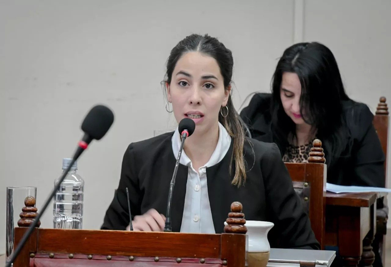 Advierten un «choque» de normativas sobre el control de taxis y remises