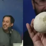 Científicos argentinos encontraron un huevo de dinosaurio de 70 millones de años en perfecto estado