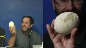 Científicos argentinos encontraron un huevo de dinosaurio de 70 millones de años en perfecto estado