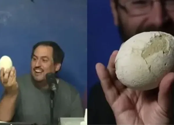 Científicos argentinos encontraron un huevo de dinosaurio de 70 millones de años en perfecto estado