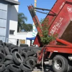 Hoy se realiza la 22° edición del Neumatón en el CCM