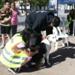 Se vacunará contra la rabia en Cerámica, El Sol, María Esther y 20 de Junio