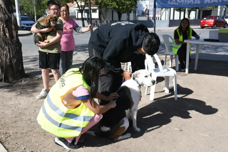 Se vacunará contra la rabia en Cerámica, El Sol, María Esther y 20 de Junio