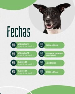 Conocé las fechas y lugares de castración y vacunación antirrábica en San Lorenzo