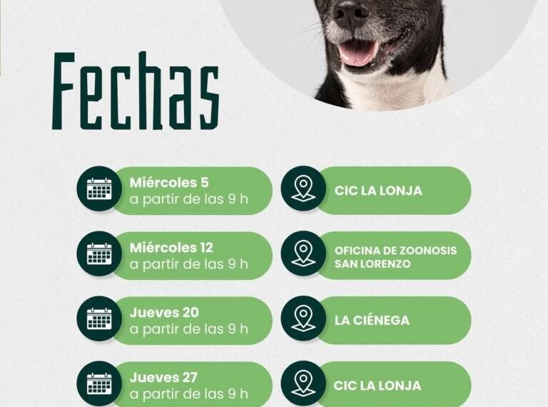 Conocé las fechas y lugares de castración y vacunación antirrábica en San Lorenzo
