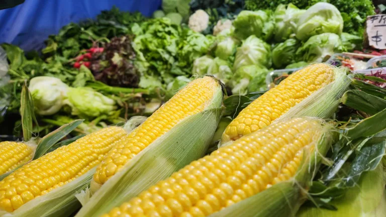 Estos son los precios de frutas y verduras en el mercado San Miguel de cara a fin de año