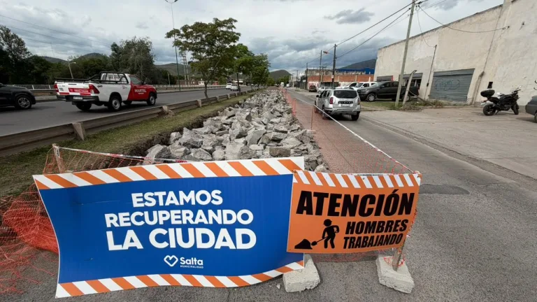 Ejecutan la renovación de la calzada en la colectora de la avenida Tavella
