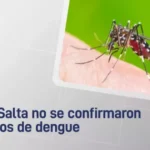En Salta no se confirmaron casos de dengue