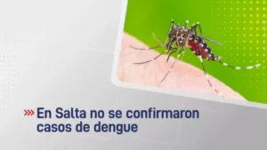 En Salta no se confirmaron casos de dengue