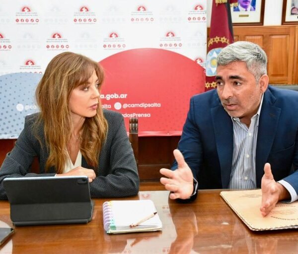 Flavia Royón expuso el Proyecto de Reforma a la Ley de Glaciares: más autonomía para las provincias