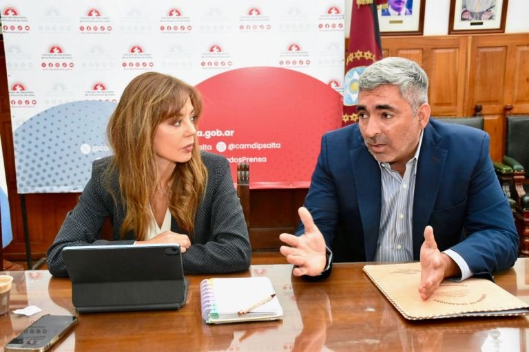 Flavia Royón expuso el Proyecto de Reforma a la Ley de Glaciares: más autonomía para las provincias