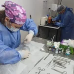 El Móvil de Castración llega a barrio San Carlos y Sanidad