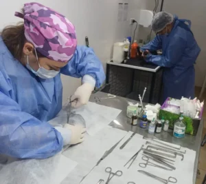 El Móvil de Castración llega a barrio San Carlos y Sanidad