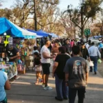Funcionaron alrededor de 40 ferias regularizadas en la ciudad a lo largo del 2025