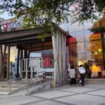 Vacaciones en Cultura: más de 120 actividades en la temporada de verano 2026