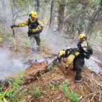 Brigadistas salteños prosiguen con los operativos de sofocación de incendios forestales en Chubut