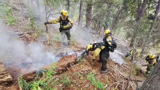 Brigadistas salteños prosiguen con los operativos de sofocación de incendios forestales en Chubut