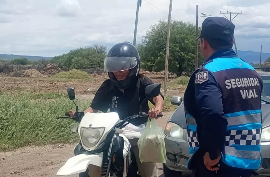 Seguridad Vial controló más de 23 mil vehículos en la provincia
