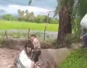 Desesperación para rescatar a personas en El Carril