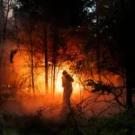 Incendios en la Patagonia: gobernadores vuelven a reclamar por una ley de Emergencia Ígnea