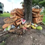 El municipio retiró basura y residuos arrojados sobre avenida Banchik