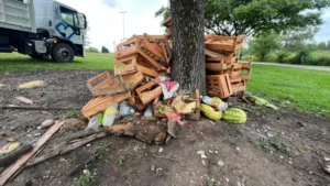 El municipio retiró basura y residuos arrojados sobre avenida Banchik
