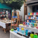 Fin de semana de carnaval: Recorré y disfrutá de los Paseos Artesanales