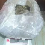 La PolicĂa incautĂł más de 1900 dosis de marihuana en Cafayate