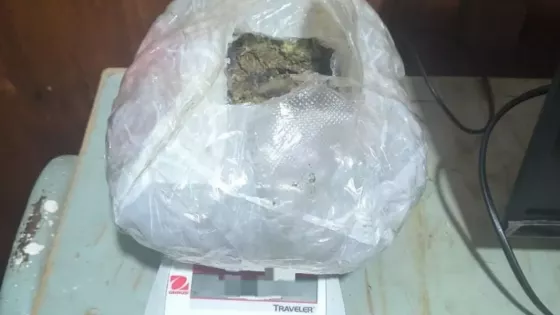 La PolicÃa incautó más de 1900 dosis de marihuana en Cafayate