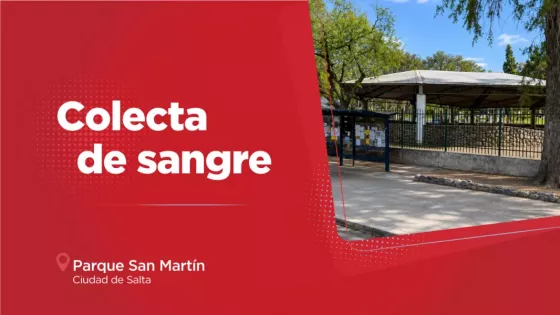 Se podrá donar sangre de todo grupo y factor en el parque San Martín