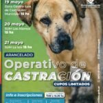 Cerrillos lanza una campaña de castración para perros y gatos con cupos limitados