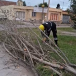 Intervinieron en 25 incidentes causados por el viento