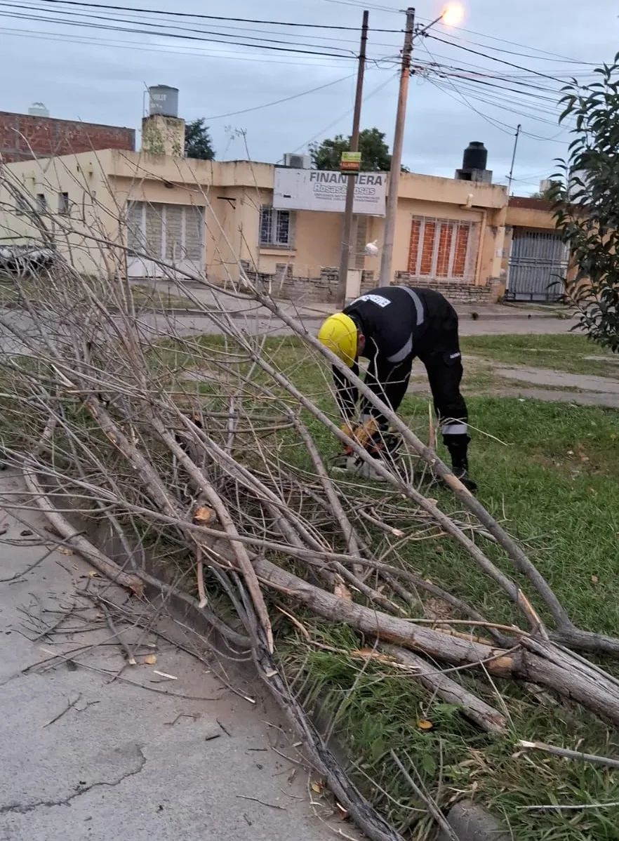 Intervinieron en 25 incidentes causados por el viento