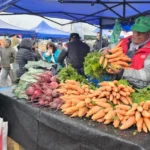 “El mercado en tu barrio» vuelve a la UNSa con ofertas de hasta un 30% de descuento