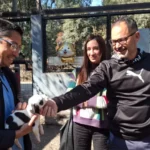 Con la campaña mundialista ya se lograron concretar nueve adopciones de perros