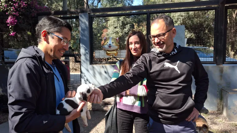 Con la campaña mundialista ya se lograron concretar nueve adopciones de perros
