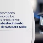 Sáenz acompaña el reclamo de los sectores productivos por un abastecimiento seguro de gas para Salta