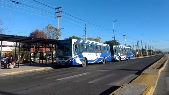 SAETA: servicio de colectivos en el feriado provincial del 17 de junio