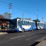 SAETA: servicio de colectivos en los feriados del 15 y 17 de junio