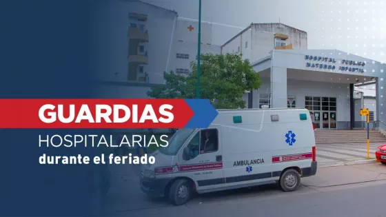 Cómo funcionarán los organismos de Salud Pública durante el feriado nacional del lunes 15