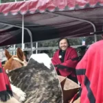 Sáenz en los homenajes a Güemes: “Debemos tomar su ejemplo y defender los intereses de la Patria y de los salteños»