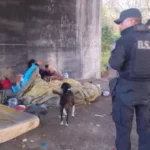 Trabajo conjunto de seguridad en espacios públicos de la Capital